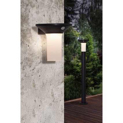 Eglo - LED āra saules gaismeklis ar sensoru 6xLED/0,03W/3,7V IP44