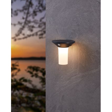 Eglo - LED āra saules gaismeklis ar sensoru 6xLED/0,03W/3,7V IP44
