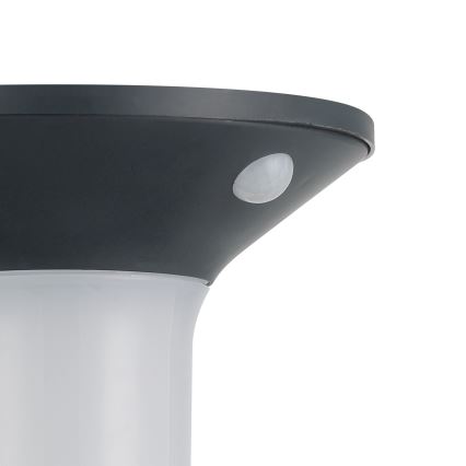 Eglo - LED āra saules gaismeklis ar sensoru 6xLED/0,03W/3,7V IP44