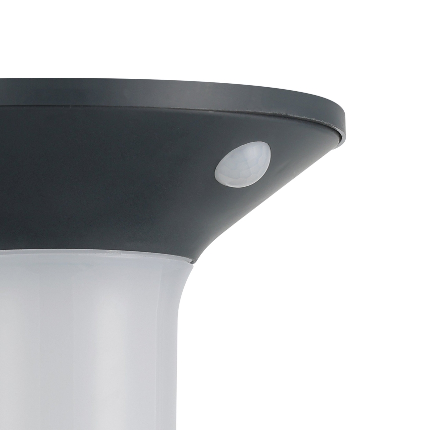 Eglo - LED āra saules gaismeklis ar sensoru 6xLED/0,03W/3,7V IP44