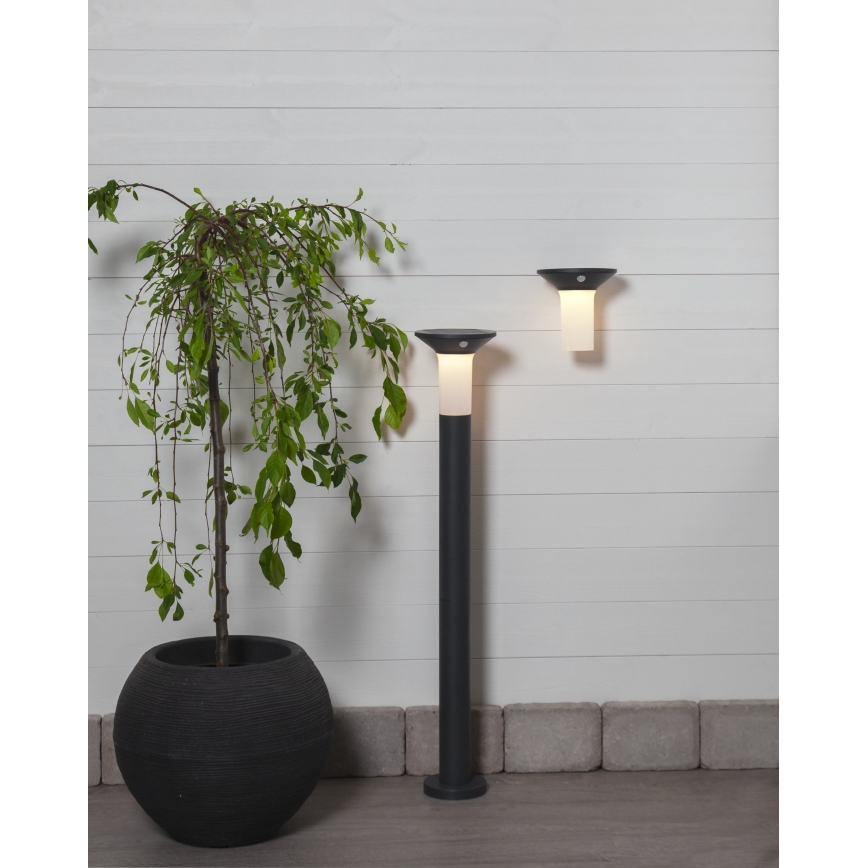 Eglo - LED Āra saules enerģijas lampa ar sensoru 6xLED/0,03W/3,7V IP44