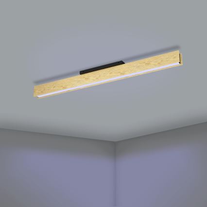 Eglo - LED RGBW Aptumšojama griestu lampa LED/35W/230V 2700-6500K