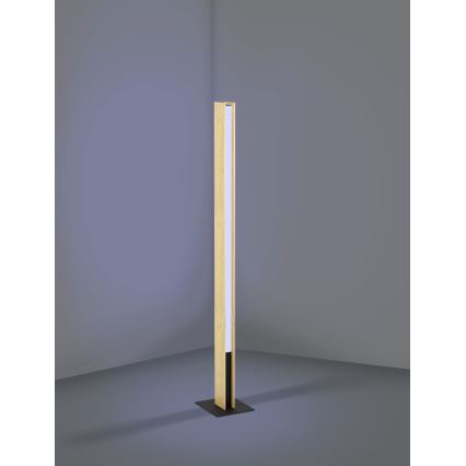 Eglo - LED RGBW Aptumšojama grīdas stāvlampa LED/35W/230V 2700-6500K