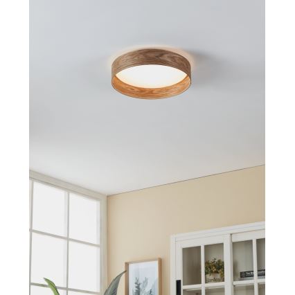 Eglo - LED Griestu lampa LED/24W/230V