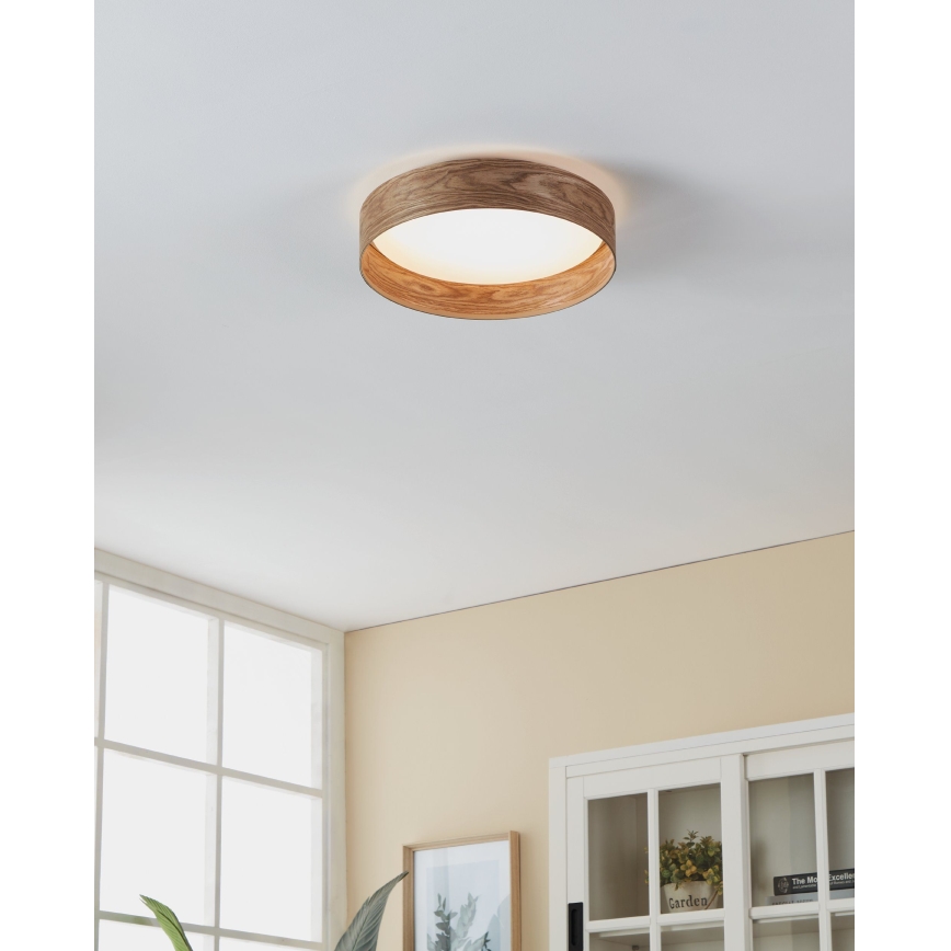 Eglo - LED Griestu lampa LED/24W/230V