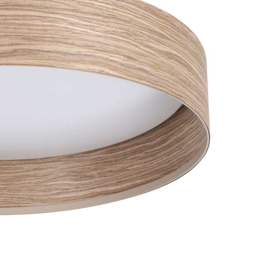 Eglo - LED Griestu lampa LED/24W/230V