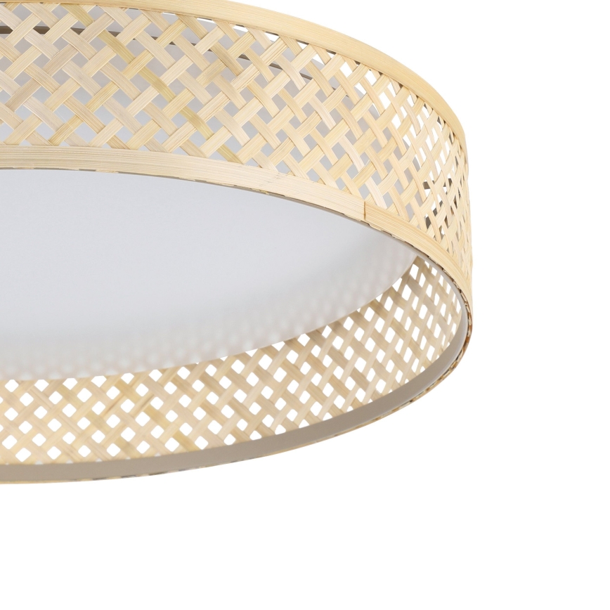 Eglo - LED Griestu lampa LED/24W/230V