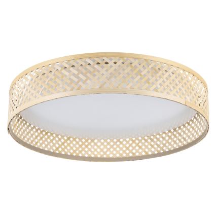 Eglo - LED Griestu lampa LED/24W/230V