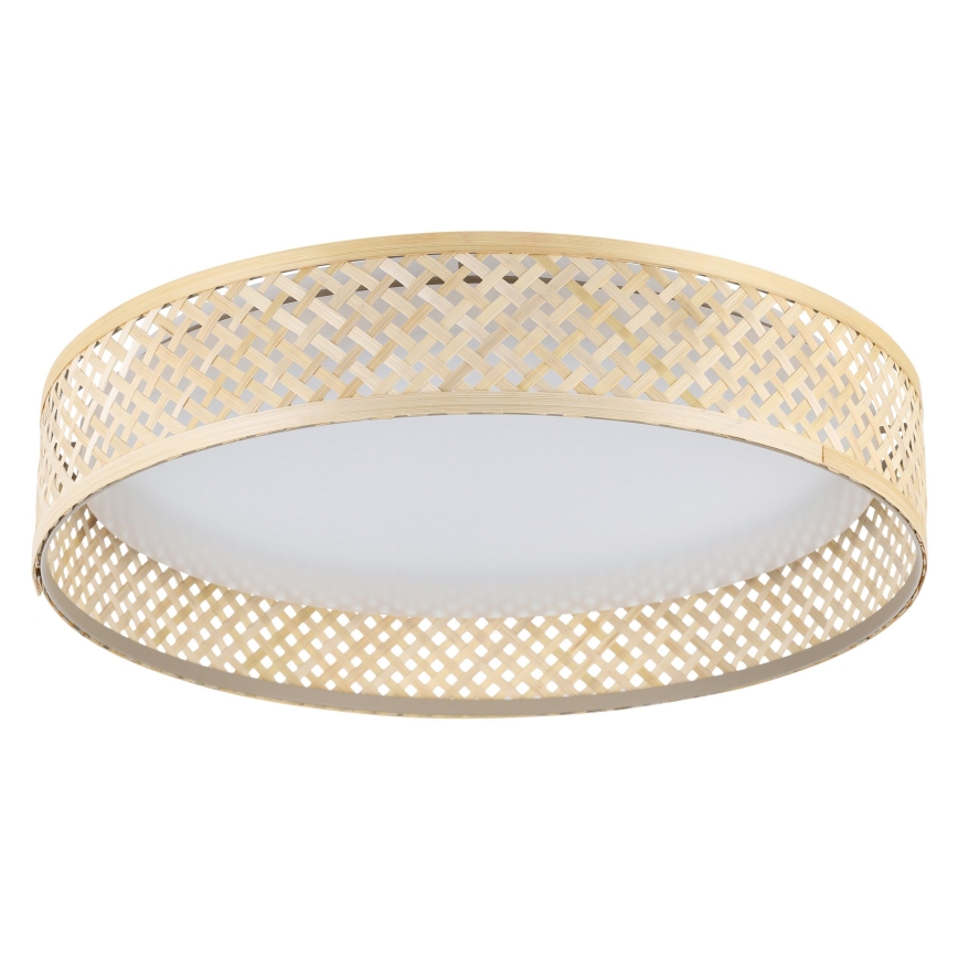 Eglo - LED Griestu lampa LED/24W/230V