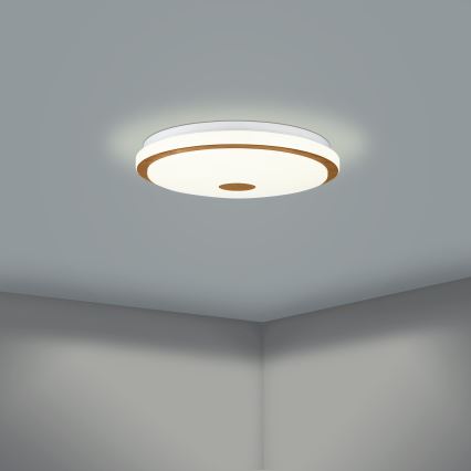 Eglo - LED Aptumšojama griestu lampa LED/24W/230V + tālvadības pults