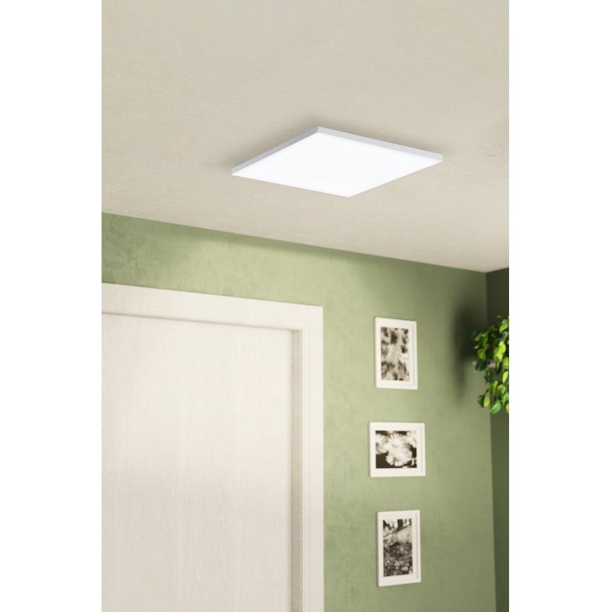 Eglo - LED Griestu lampa LED/10,8W/230V