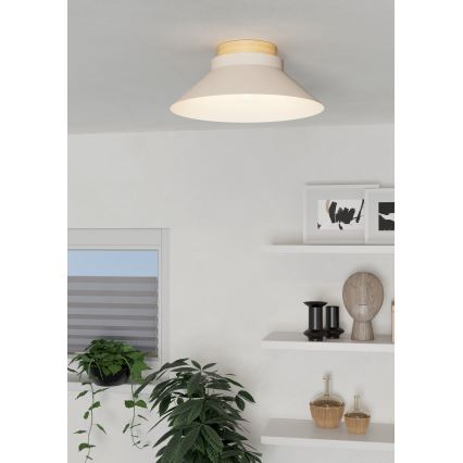 Eglo - Griestu lampa 1xE27/40W/230V