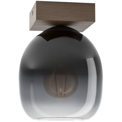 Eglo - Griestu lampa 1xE27/40W/230V