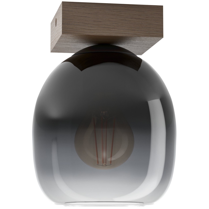 Eglo - Griestu lampa 1xE27/40W/230V