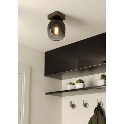 Eglo - Griestu lampa 1xE27/40W/230V