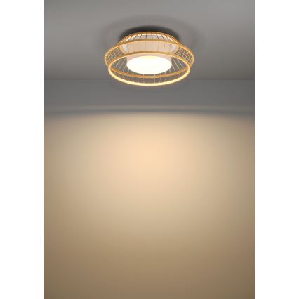 Eglo - LED RGBW Aptumšojama griestu lampa LED/22W/230V 2700-6500K