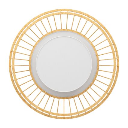 Eglo - LED RGBW Aptumšojama griestu lampa LED/22W/230V 2700-6500K