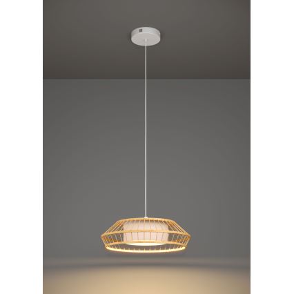 Eglo - LED RGBW Aptumšojuma lustra ar auklu LED/22W/230V 2700-6500K