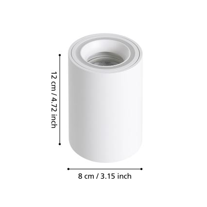 Eglo - LED RGBW Aptumšojams starmetis LED/4,9W/230V 2700-6500K balta