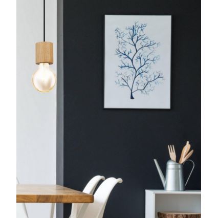 Eglo - Pakaramais gaismeklis ar vadu 1xE27/28W/230V