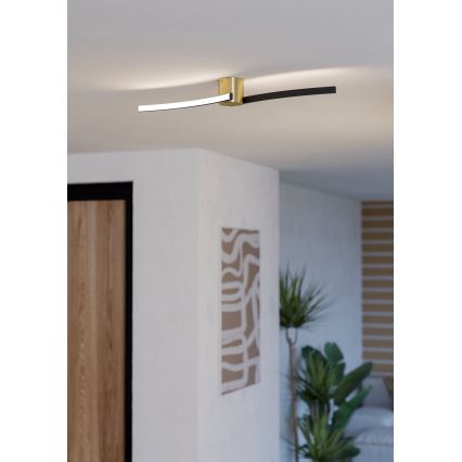 Eglo - LED Griestu lampa LED/12W/230V 4000K melna