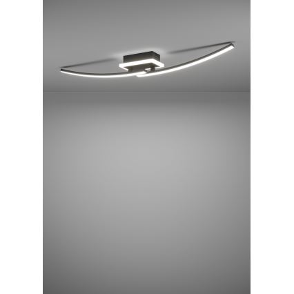 Eglo - LED Griestu lampa LED/12W/230V 4000K melna