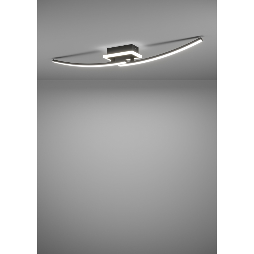 Eglo - LED Griestu lampa LED/12W/230V 4000K melna