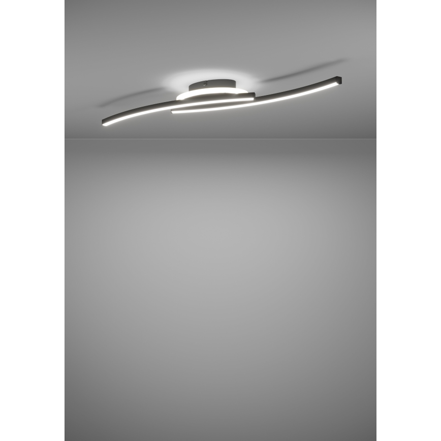 Eglo - LED Griestu lampa LED/12W/230V 4000K melna