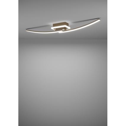 Eglo - LED Griestu lampa LED/12W/230V 4000K varš