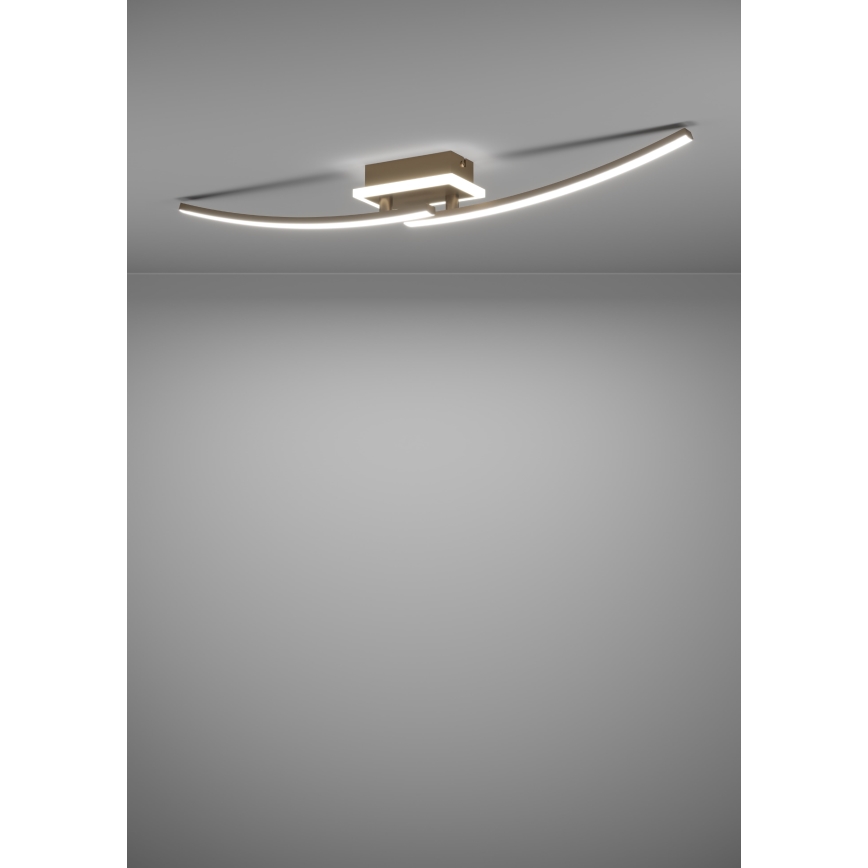 Eglo - LED Griestu lampa LED/12W/230V 4000K varš