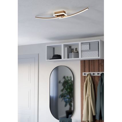 Eglo - LED Griestu lampa LED/12W/230V 4000K varš