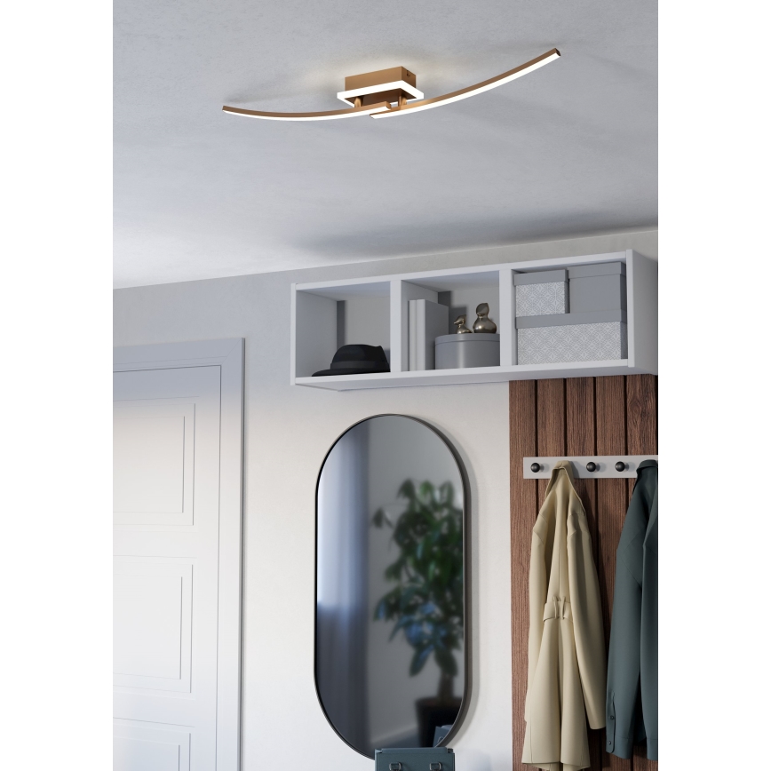 Eglo - LED Griestu lampa LED/12W/230V 4000K varš