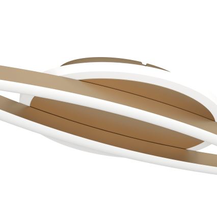 Eglo - LED Griestu lampa LED/12W/230V 4000K varš