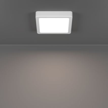 Eglo - LED griestu lampa LED/7W/230V 2700/4000/6500K 15x15 cm balta