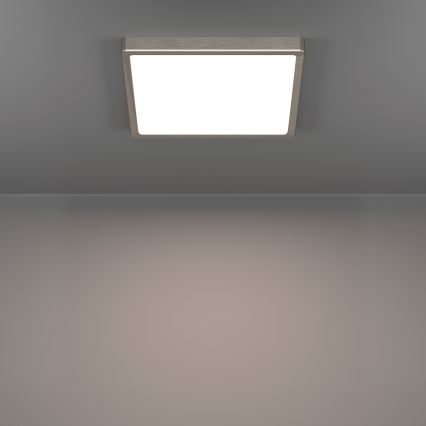 Eglo - LED griestu gaismeklis LED/13W/230V 2700/4000/6500K 29x29 cm matēts hroms