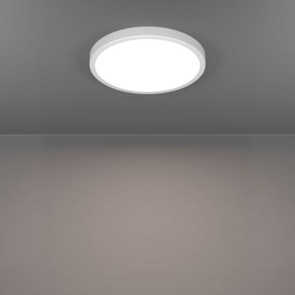 Eglo - LED vannas istabas griestu lampa LED/14,2W/230V 2700/4000/6500K Ø 27,8 cm IP44 balta