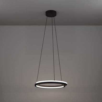 Eglo - LED lustra ar regulējamu spilgtumu uz troses 2xLED/20W/230V 2700-6500K Ø 48 cm melna + tālvadības pults