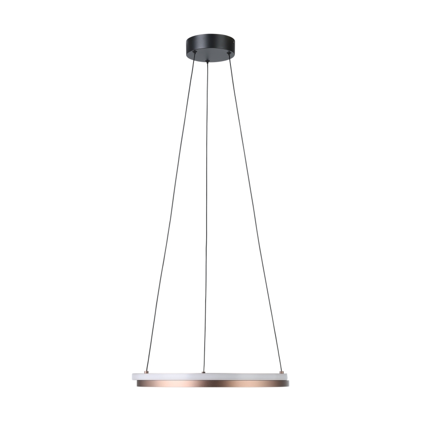 Eglo - LED regulējama pakaramā lampa uz kabeļa 2xLED/20W/230V 2700-6500K Ø 48 cm bronzas krāsā + tālvadības pults