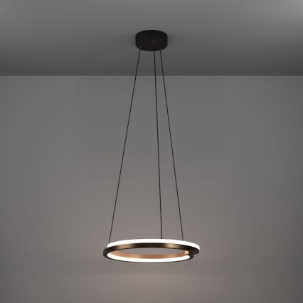 Eglo - LED regulējama pakaramā lampa uz kabeļa 2xLED/20W/230V 2700-6500K Ø 48 cm bronzas krāsā + tālvadības pults