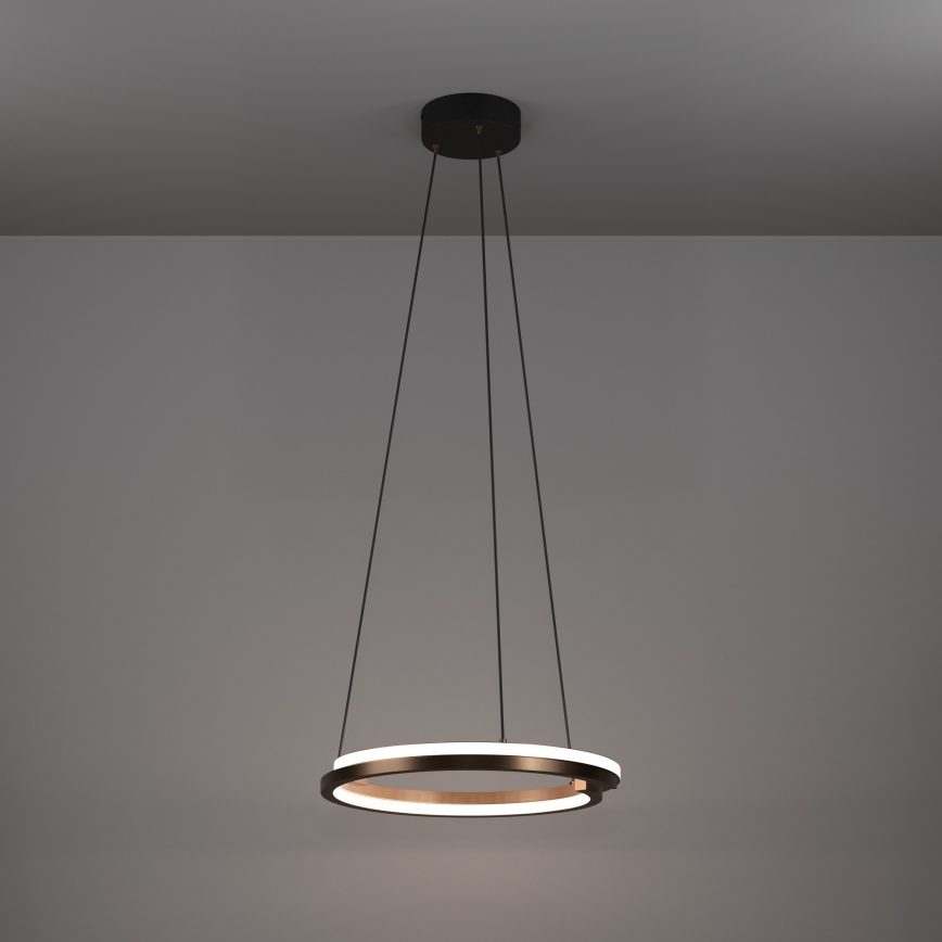 Eglo - LED regulējama pakaramā lampa uz kabeļa 2xLED/20W/230V 2700-6500K Ø 48 cm bronzas krāsā + tālvadības pults