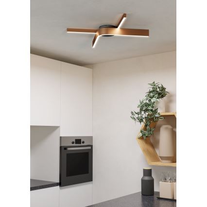 Eglo - LED RGBW dimmējams griestu gaismeklis 2xLED/18W/230V 2700-6500K vara/melns