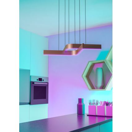 Eglo - LED RGBW dimējams piekaramais lustrs uz troses 2xLED/18W/230V vara/melna