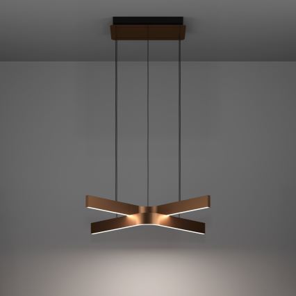 Eglo - LED RGBW dimējams piekaramais lustrs uz troses 2xLED/18W/230V vara/melna