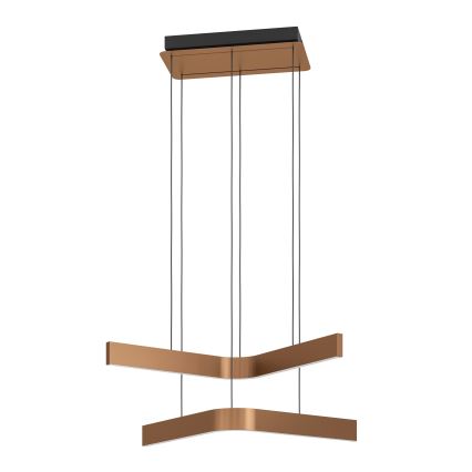 Eglo - LED RGBW regulējama lustra uz troses 2xLED/18W/230V vara/melna