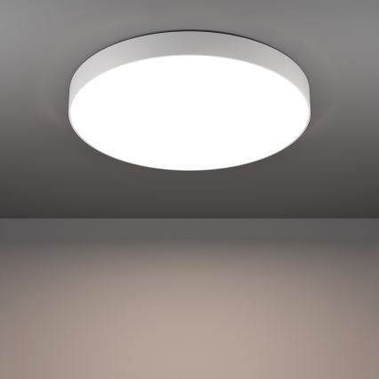 Eglo - LED RGBW dimmējams griestu gaismeklis LED/36,5W/230V 2700-6500K Ø 69 cm balts