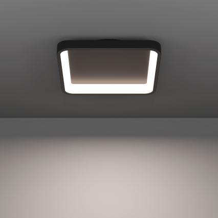 Eglo - LED RGBW griestu gaismeklis ar regulējamu spilgtumu LED/20W/230V 2700-6500K 35x35 cm melns