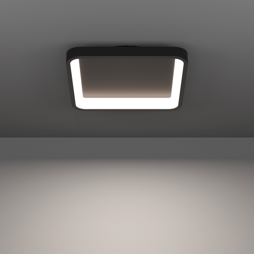 Eglo - LED RGBW griestu gaismeklis ar regulējamu spilgtumu LED/20W/230V 2700-6500K 35x35 cm melns