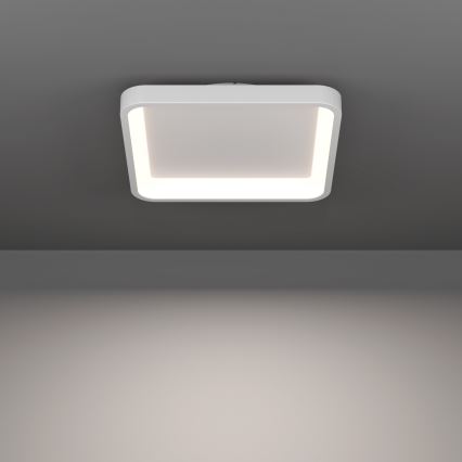 Eglo - LED RGBW aptumšojams griestu gaismeklis LED/20W/230V 2700-6500K 35x35 cm balts