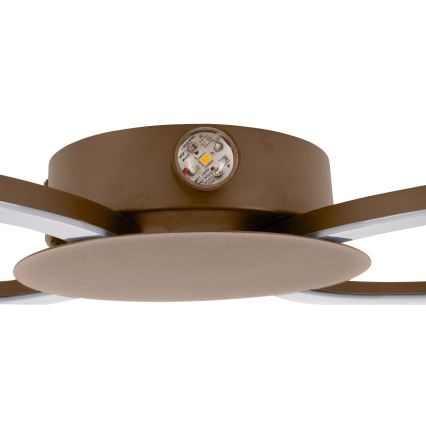 Eglo - LED sienas gaismeklis LED/20W/230V + LED/0,91W bēšs