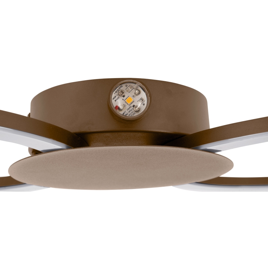 Eglo - LED sienas gaismeklis LED/20W/230V + LED/0,91W bēšs